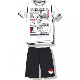 Lot de 8 : Pokemon adult outfit