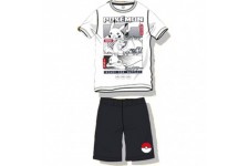 Lot de 8 : Pokemon adult outfit