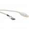Câble USB 2.0 InLine® interne USB B mâle vers connecteur en-tête 0,4 m