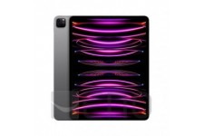 Apple 2022 12,9" iPad Pro (Wi-Fi, 2 TB) - Space Grau (6. Generation)