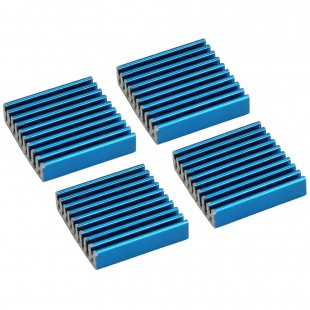 Ailettes de refroidissement auto-adhésives InLine® RAM Heat Sink 4pcs.