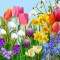 PAPSTAR Serviettes à motif de Pâques 'Flowers of Spring'