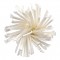 PAPSTAR Paille en papier 'pure', 200 mm, blanc
