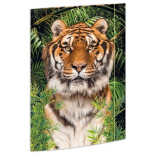 RNK Verlag Pochette de rangement à dessins 'Tiger'