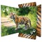 RNK Verlag Pochette de rangement à dessins 'Tiger'