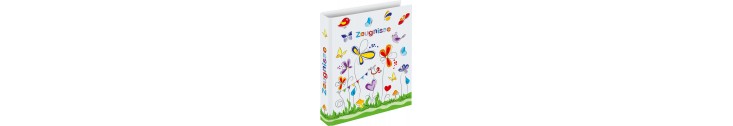 Organisation Scolaire