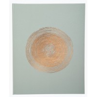 EXACOMPTA Livre d'Or Ellipse, 220 x 270 mm, vert