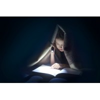 ANSMANN Lampe de poche LED, Daily Use 70B, argent/noir