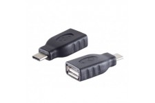 shiverpeaks Adaptateur BASIC-S USB 3.1, mâle C - femelle A
