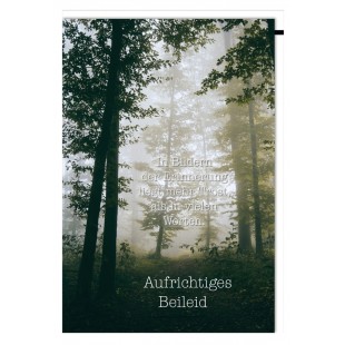 SUSY CARD Trauerkarte 'Wald im Nebel'