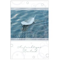 SUSY CARD Trauerkarte 'Zweige'