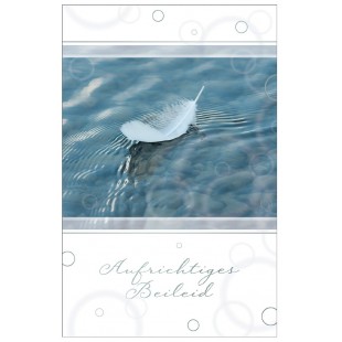 SUSY CARD Trauerkarte 'Zweige'
