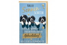 SUSY CARD Geburtstagskarte - Humor 'Mischlingshunde'