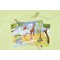 HEYDA Set de cartes transferts rub-on 'Animaux du zoo'