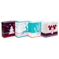 ROTH Adventsbox Wint