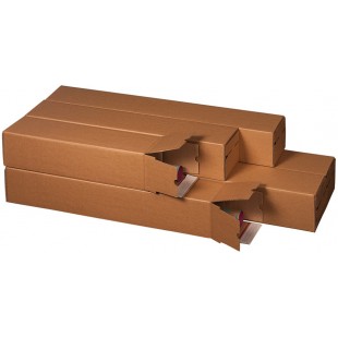 Lot de 10 : smartboxpro Tube d'expédition, (L)715 x (P)105 mm, SK,marron