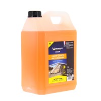 MICHELIN LG été démoustiqu 5L
