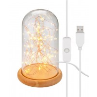 Cloche en Verre avec GuirlandeLumineuse Micro LED