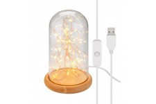 Cloche en Verre avec GuirlandeLumineuse Micro LED