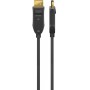Câble de Connexion Hybrid à Fibre Optique DisplayPort 2.0 (AOC), Doré 10 m
