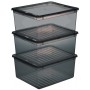 keeeper Set de boîtes de rangement 'bea', 3x 18 L, gris