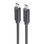 shiverpeaks Câble BASIC-S USB 3.2, USB-C mâle, 2,00 m