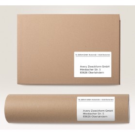 AVERY Zweckform Etiquette universelle, 210 x 297 mm, blanc