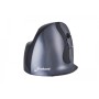 BakkerElkhuizen BNEEVRDW Souris Droitier RF sans Fil 3200 DPI