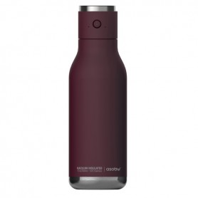 Bouteille de Haut-Parleur à Double paroi 17 onces Wireless BT60 Burgundy