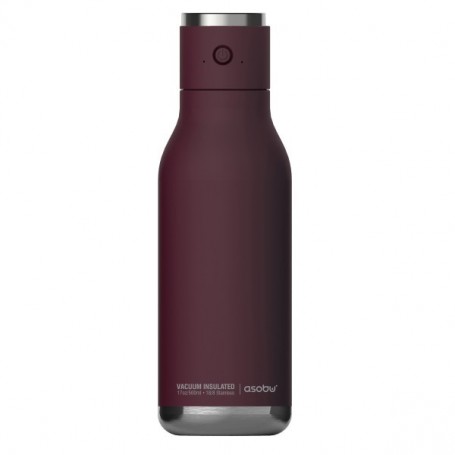Bouteille de Haut-Parleur à Double paroi 17 onces Wireless BT60 Burgundy
