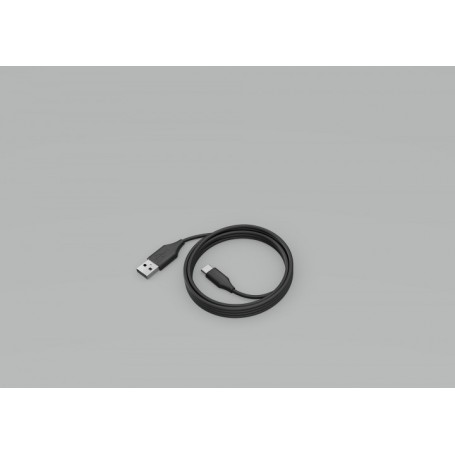 Jabra PanaCast 50 Câble USB C vers USB A, 2 m - Câble USB 3.0 pour connecter la barre vidéo PanaCast 50 à votre ordinateur - Câble USB-A plug-and-play