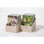 Ultimate Guard Return To Earth Boulder Deck Case 100+ taille standard Natural