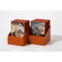 Ultimate Guard Return To Earth Boulder Deck Case 100+ taille standard Orange