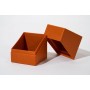 Ultimate Guard Return To Earth Boulder Deck Case 100+ taille standard Orange