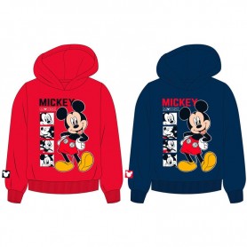 Lot de 10 : Disney Mickey assorted hoodie