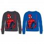 Lot de 10 : Marvel Spiderman assorted sweatshirt