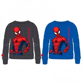 Lot de 10 : Marvel Spiderman assorted sweatshirt