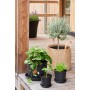 orthex Blumentopf CU