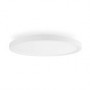 SmartLife Plafonnier | Wi-Fi | Blanc chaud à frais / RGB | Ronde | Diamètre: 290 mm | 1800 lm | 2700 - 6500 K | IP20 | Classe én