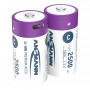 ANSMANN 1313-0004 Batteries rechargeables Li-ion bébé C Type 2500 (min. 2300 mAh) Boîte de 2 packs