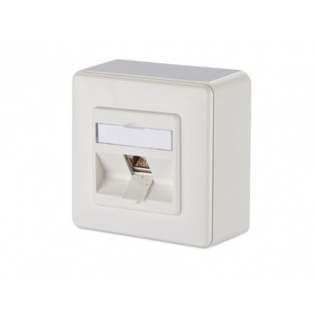 Coupleur RJ45 Prise femelle CAT6a Droit Ports - 2 Bronze étain