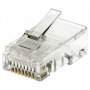 modulearprise mâle 8P8C, 100 pièce, lose - RJ45, Goldauflage: 3, VPE 100 Stk (PE bag)