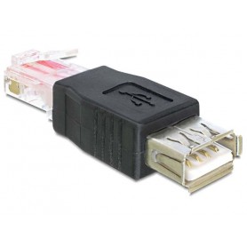 Delock - Adaptateur USB - RJ-45 (M) pour USB (F) - noir