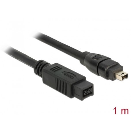 Delock Câble FireWire mâle 9 broches mâle 4 broches 1 m