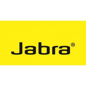 Câble de connexion standard de Jabra