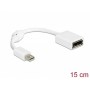 DisplayPort blanc, 4K, 15cm