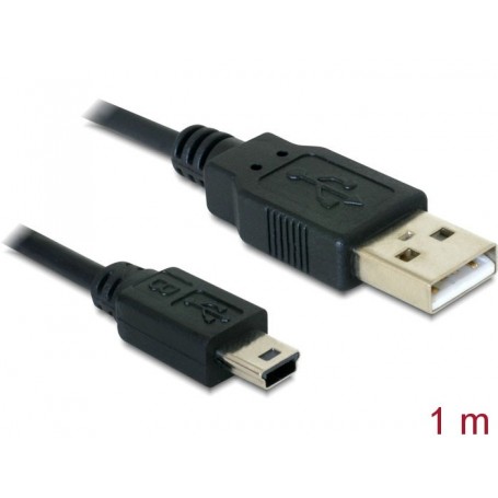 Câble USB 2.0 A USB 2.0 mini B, 1,0 m