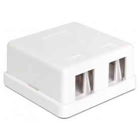 Dellock Keystone Housing vide 2 port blanc