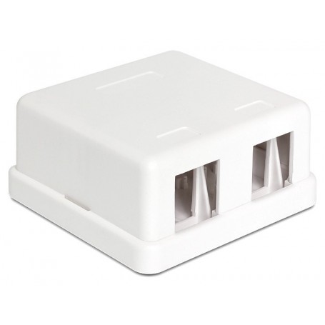 Dellock Keystone Housing vide 2 port blanc