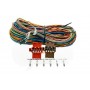 WEBFLEET I / S Cable Link 710/740 12-PIN